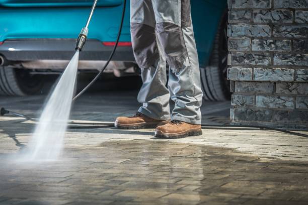 Best Animal Enclosure Cleaning  in Bridge City, TX