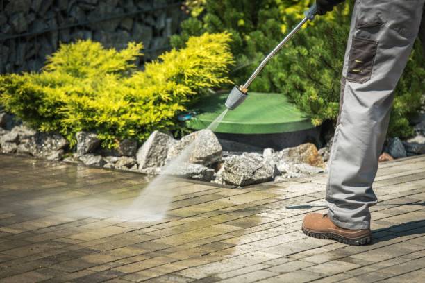 Best Boat and Dock Cleaning  in Bridge City, TX