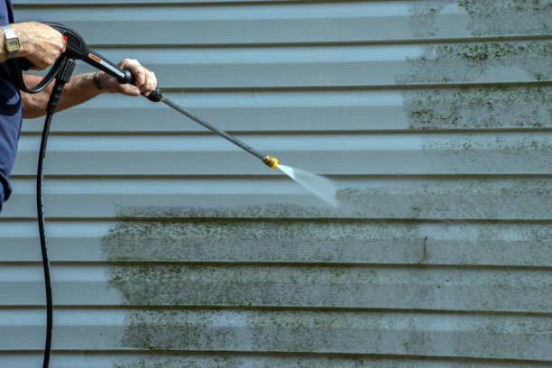 Best Fence Cleaning  in Bridge City, TX