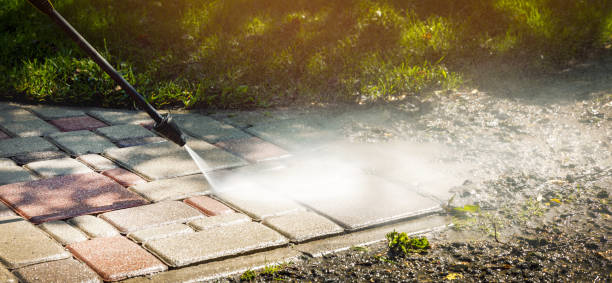 Best Solar Panel Cleaning  in Bridge City, TX