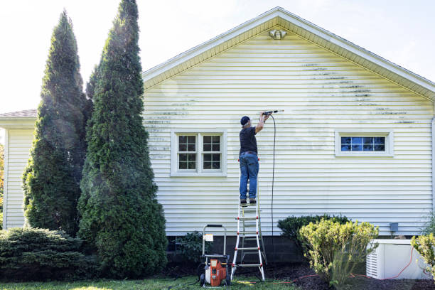 Best Rust Removal  in Bridge City, TX