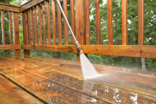 Best Driveway Pressure Washing  in Bridge City, TX