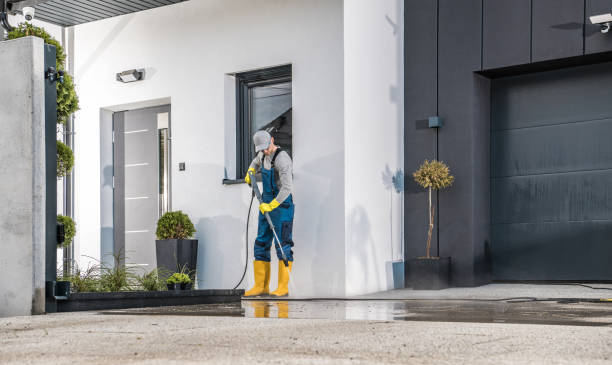 Best Dumpster Area Cleaning  in Bridge City, TX